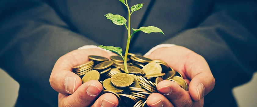 generate wealth